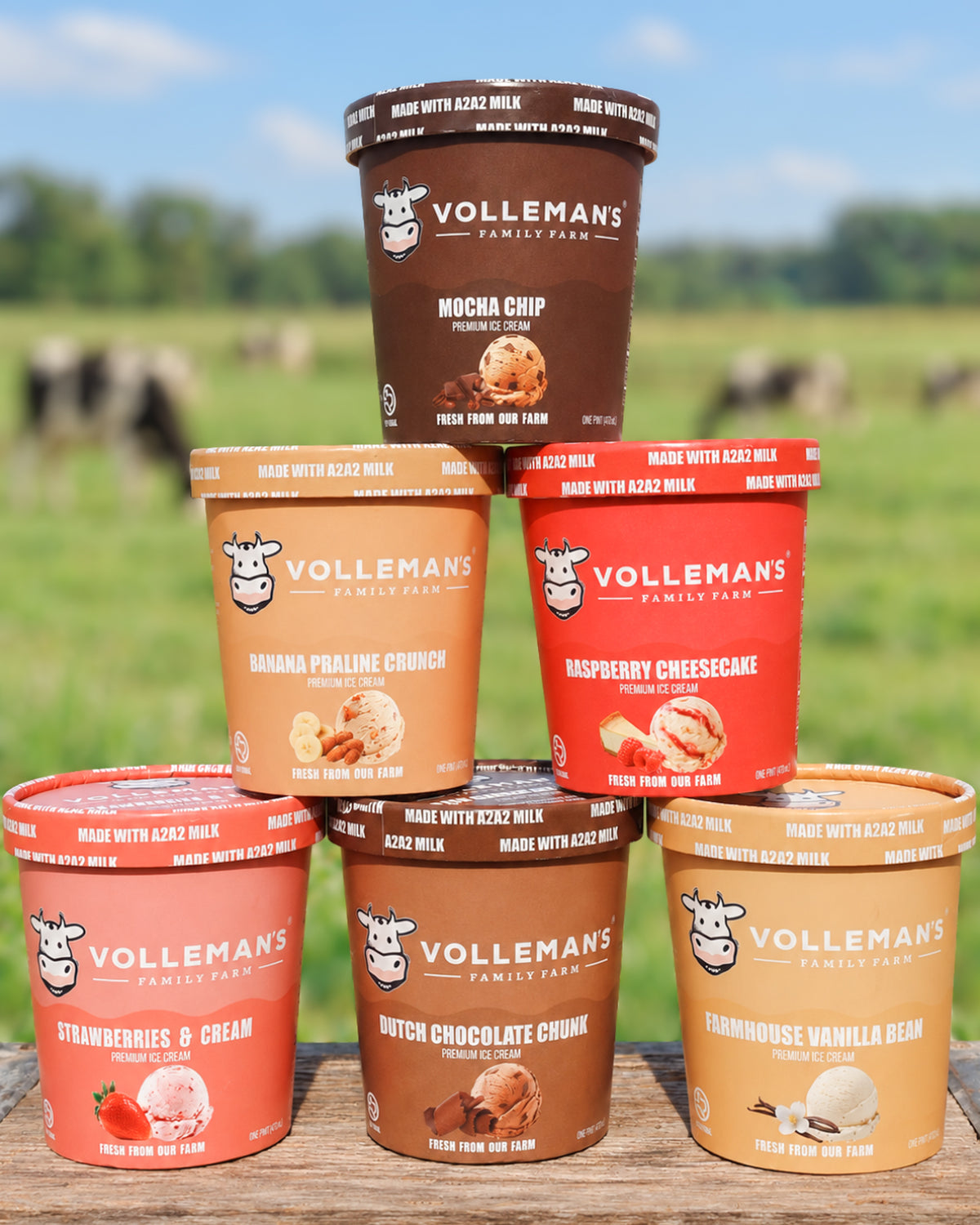 Ice Cream Box - Make your Own Box