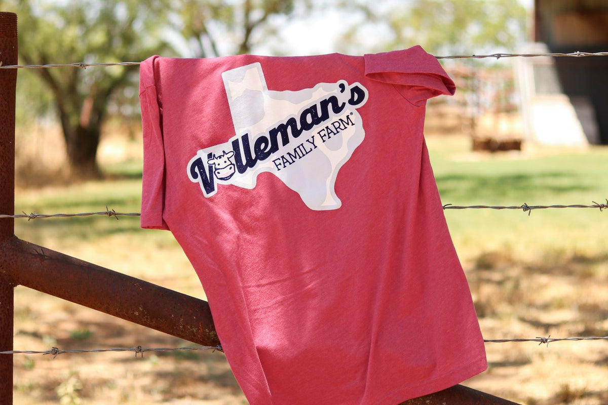 Texas T-Shirt - Heather Raspberry