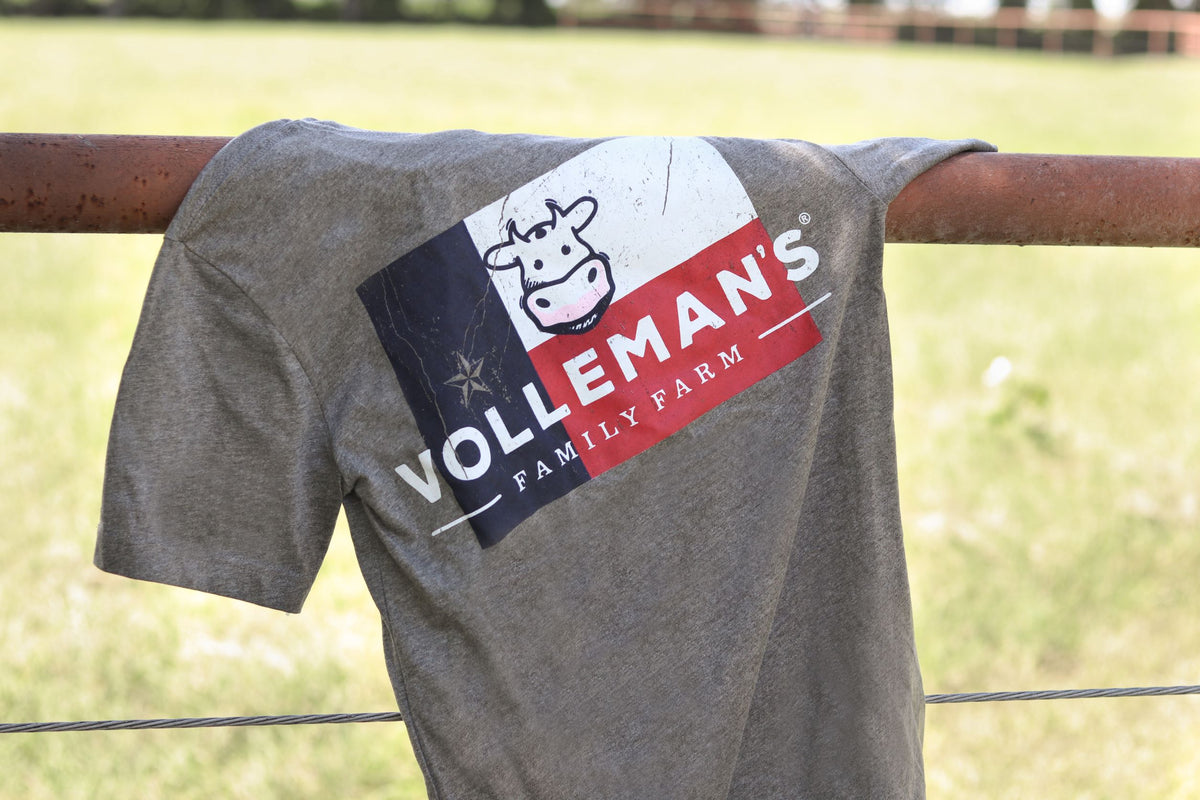Texas Flag T-Shirt - Heather Grey